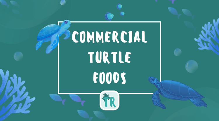 Commercial Turtle Foods - Best Choices