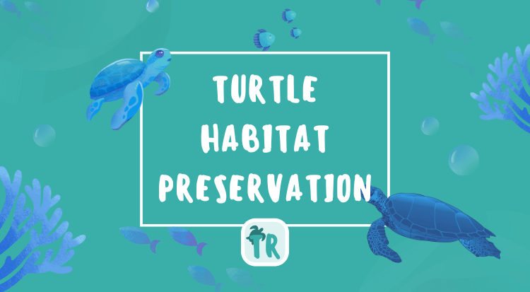 Turtle Habitat Preservation - Quick Overview