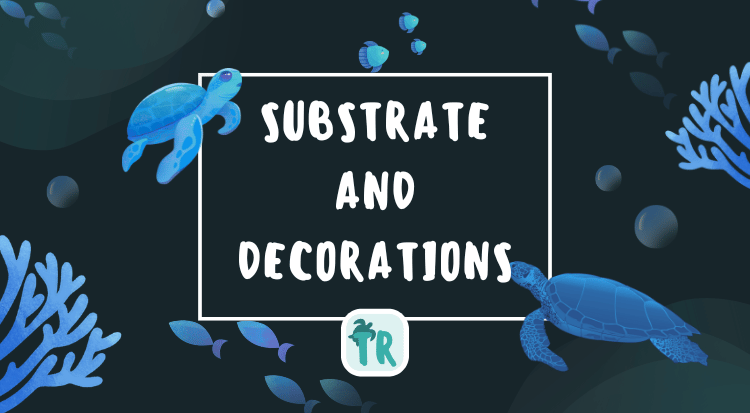 Substrate and Decorations for Your Pet Turtles