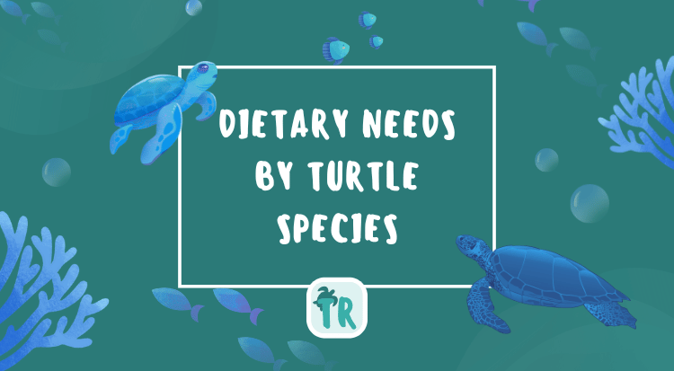 Dietary Needs by Turtle Species