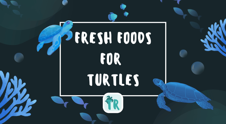 Fresh Foods for Turtles - Quick Guide