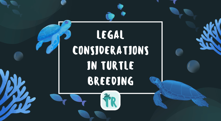 Legal Considerations in Turtle Breeding